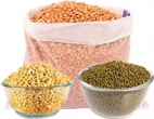 dals-pulses-cat.png